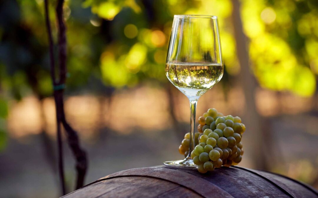 Wine farmers: Keeping things cool & collected, with Big Box